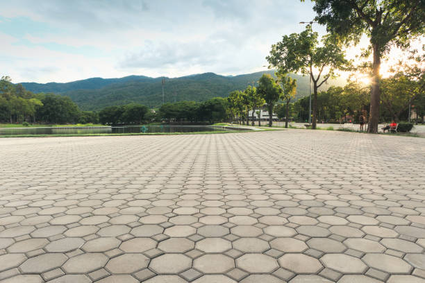Best Decorative Driveway Pavers  in Blossburg, PA